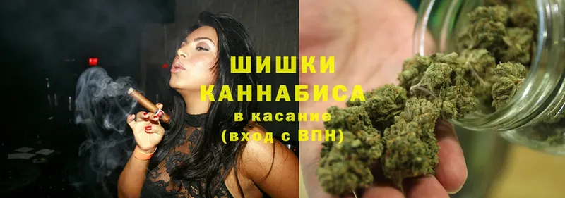 Каннабис OG Kush  Жуковка 